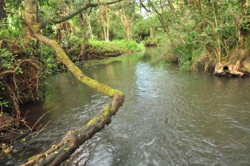 Vistas, Naiberi River Campsite & Resort in Eldoret