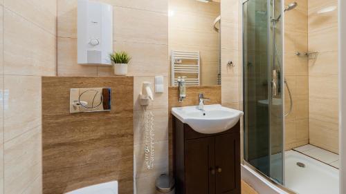 One-Bedroom Apartment image 6