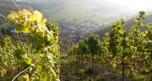 Weingut Hees - Landgasthof Zum Jager aus Kurpfalz in Auen