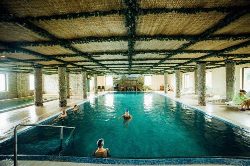 Spa, Pension Domeniul Regilor in Sălicea