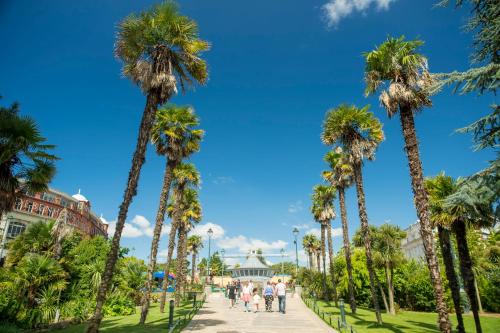 BOURNECOAST: LOVELY GROUND FLOOR STUDIO APARTMENT, NEAR RIVER & BEACHES - FM3001 in Bournemouth