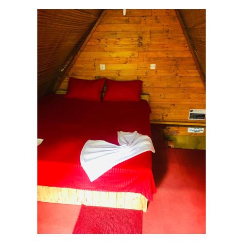 2 king beds