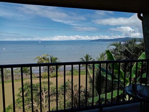 Tapirus Playa in Drake Bay