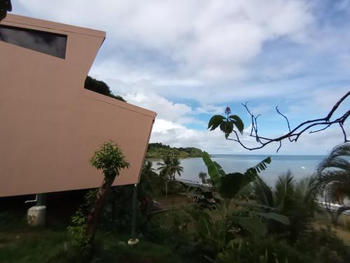 Tapirus Playa in Drake Bay