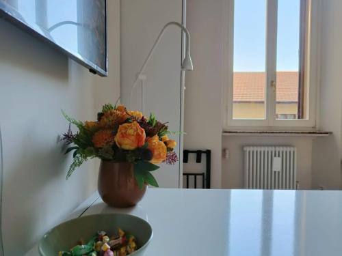A Look From The Window