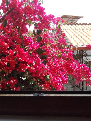 Casa de Mama Valle - Urubamba