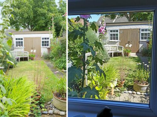 Walnut Cottage - image 5