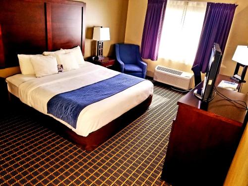 Comfort Inn Fort Collins North - image 12