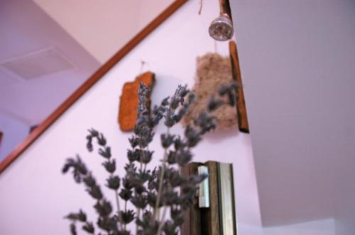 Posada San Marcos - image 13