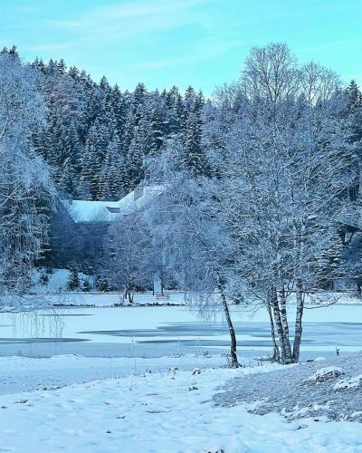 LakeSide Apartments Seefeld