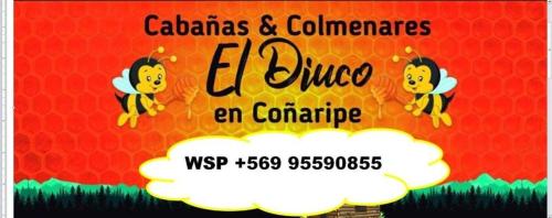 Cabañas El Diuco en Coñaripe 4 - Accommodation - Coñaripe