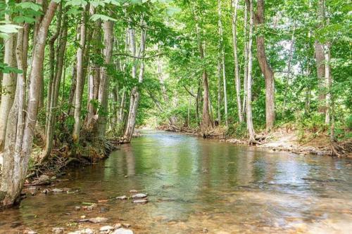 Serenity Views Retreat - Close to City and Parkway! in Weaverville, USA