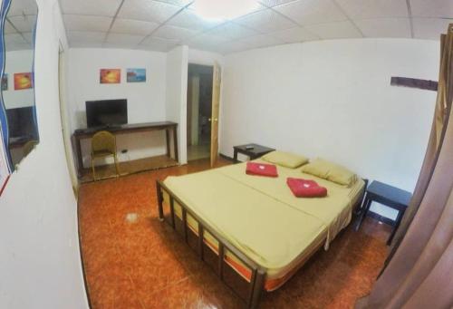 BAMBU HOSTEL, David (Foto 7)