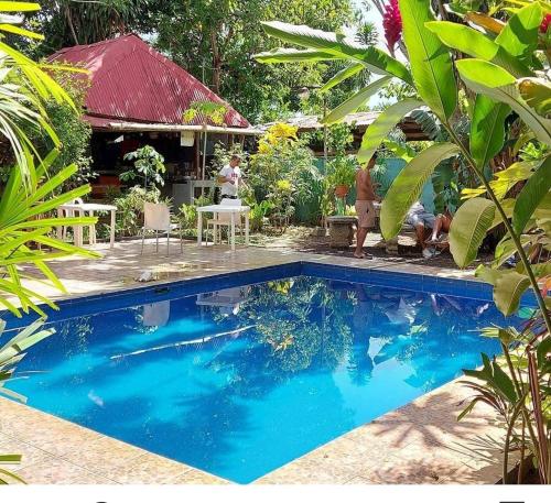 BAMBU HOSTEL, David (Foto 4)