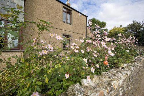 Tregondale Manor Farm