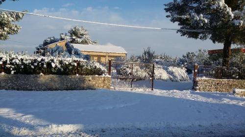Mazzara Farm - image 5
