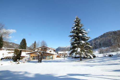 Alpenhotel Weiherbach - image 3