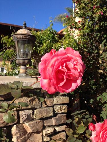 Leucadia Beach Inn in Encinitas, USA