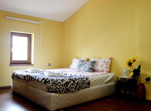 Vitosha Flat - image 2