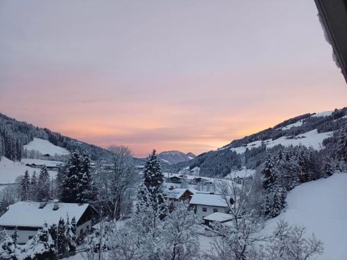 Appartement Schwab Hopfgarten im Brixental