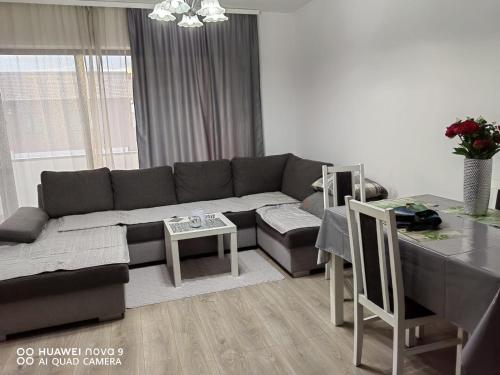 ionut homes