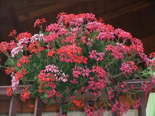 Gîte Les Grands Champs - image 3