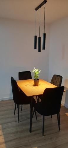 APARTAMENT Klasztorna Centrum Nowy Sacz - Nowy Sacz