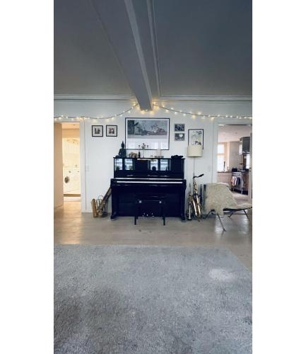 ApartmentInCopenhagen Apartment 17, Copenaghen (foto 7)