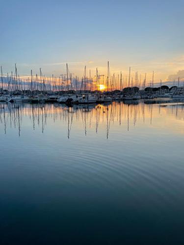 Pantai, Superbe studio, terrasse, piscine, parking in Le Grau-du-Roi
