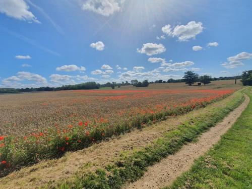 Belle Vue Cottage Belle Vue Cottage