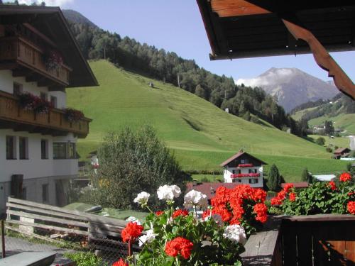 Lexhof - image 5