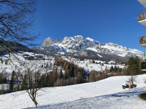 APPARTAMENTO STELLA ALPINA