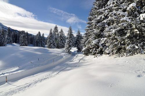 Landhotel Berghof