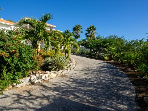 Alrededores, Villa Happy View in Willibrordus