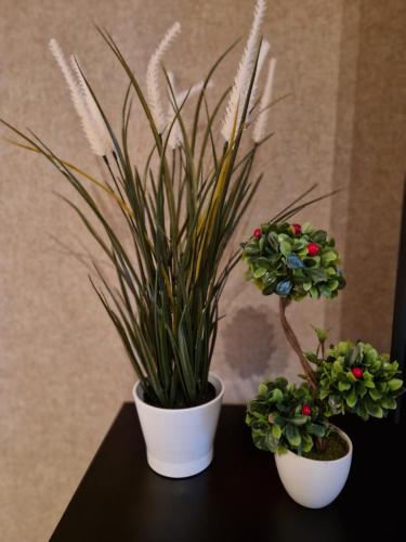 Апартамент RESORT SENSATION 1 Апартамент RESORT SENSATION 1