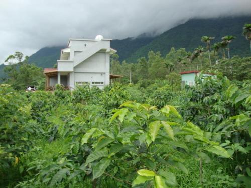 Taroko Sialin Coffee Farm Homestay