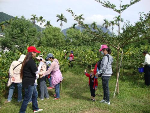 Taroko Sialin Coffee Farm Homestay