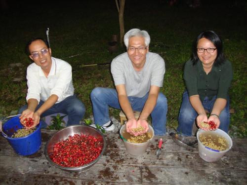 Taroko Sialin Coffee Farm Homestay