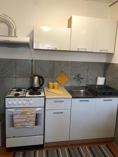 Kitchen, STUDIO APARTMAN MARINJAK in Belisce