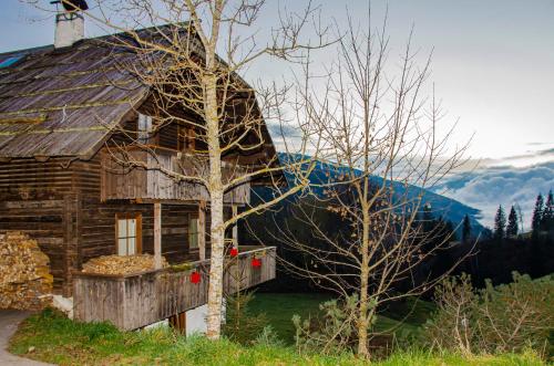  Apartment Sigrid in Arriach