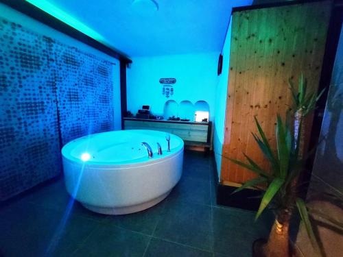 Wellness House Slatina Spa