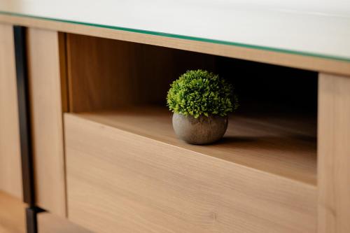 Apartamentos Debambu - image 4