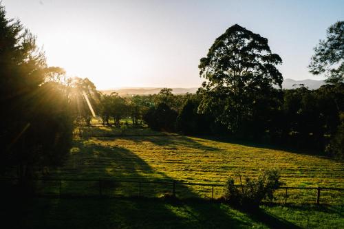 Deville At Healesville