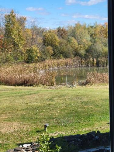 景觀, Castle life in Town in 華斯 (ON)