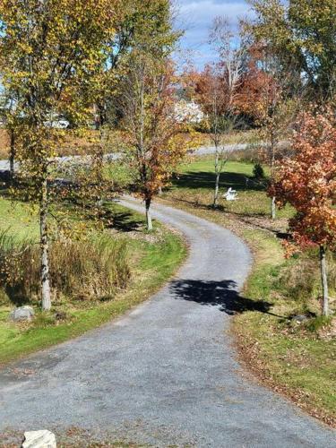 Castle life in Town in 華斯 (ON)
