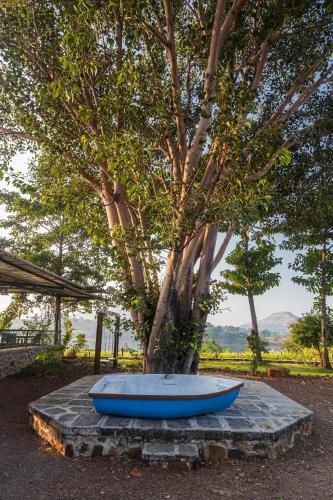 SaffronStays Lake House Marigold, Nashik - rustic cottages with private plunge pool