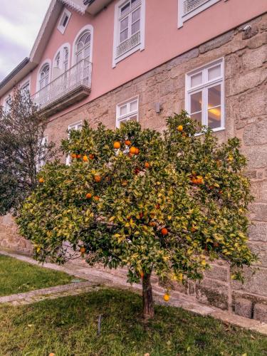 Ribeira Collection Hotel by Piamonte Hotels