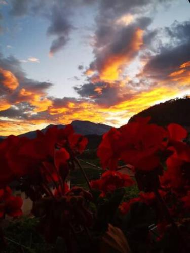 Apt. BELLA VISTA nel Cuore della Valle di Cembra.