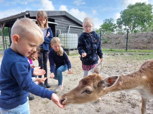 Strandcamping Valkenisse - main image