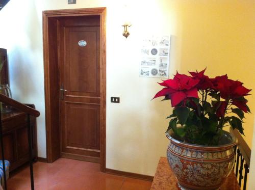 Single Room image 9
